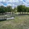 a fenced in area with trees and grass
